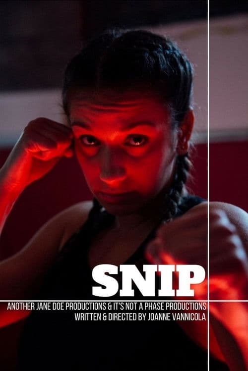 Snip (2017) poster