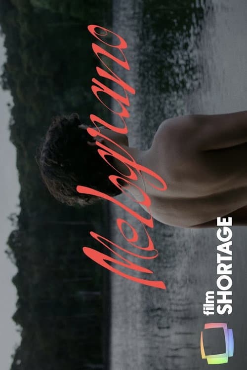 Melograno (2023) poster
