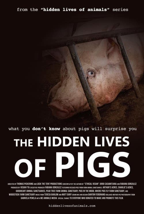 The Hidden Lives of Pigs (2025) poster