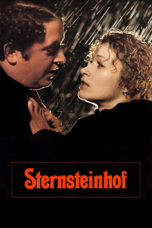 Der Sternsteinhof (1976) poster