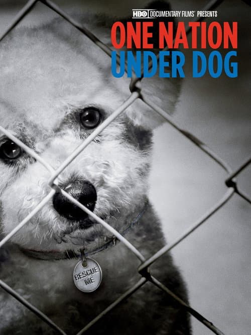 One Nation Under Dog: Stories of Fear, Loss and Betrayal (2012) poster