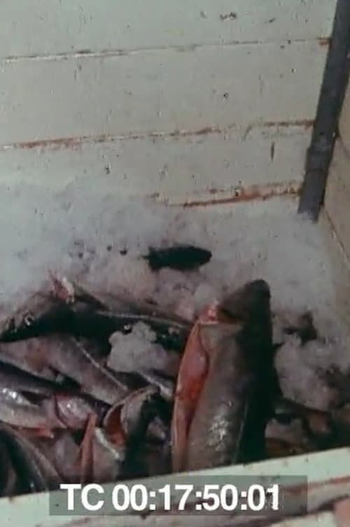 Le poisson commande... (1976) poster