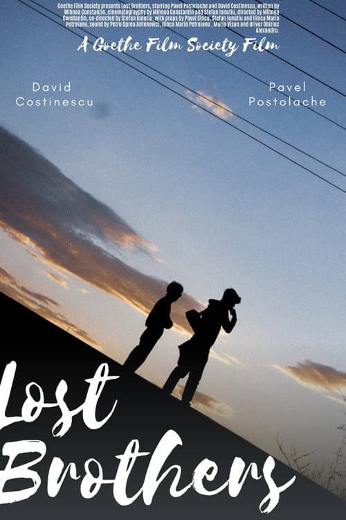 Lost Brothers (2026) poster
