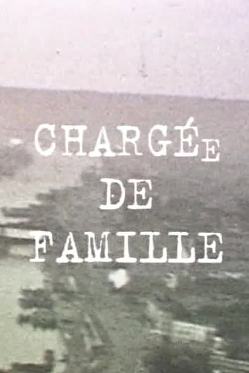 Chargée de famille (1995) poster