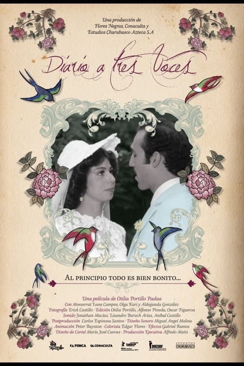 Diario a Tres Voces (2012) poster