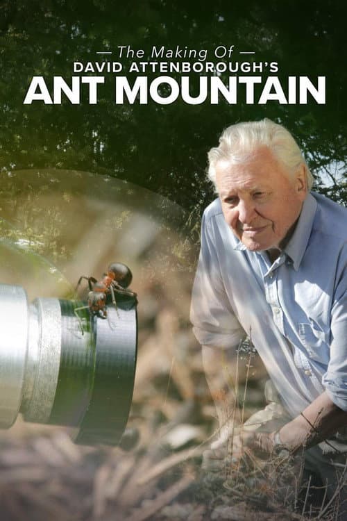 The Making of David Attenborough's Ant Mountain (2018) poster