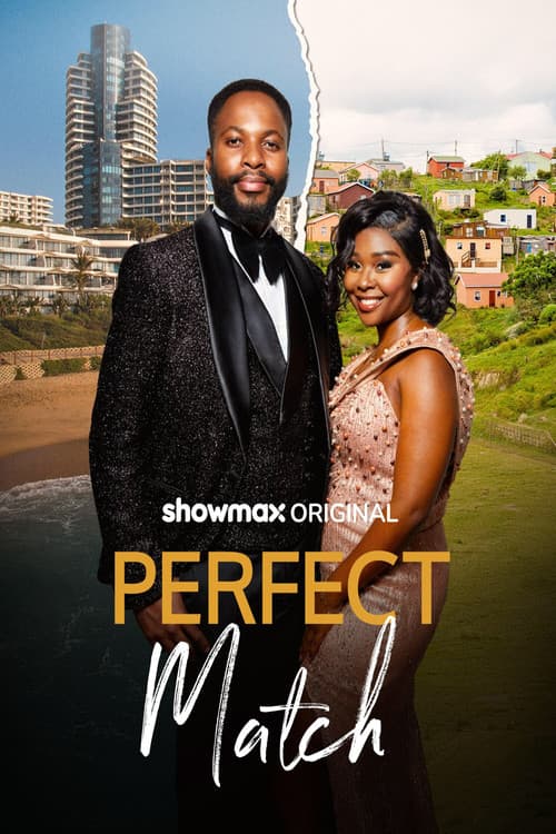 Perfect Match (2025) poster