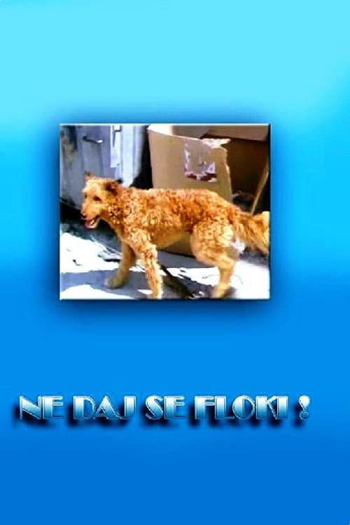 Ne daj se, Floki! (1986) poster