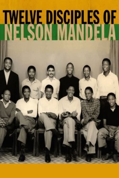 Twelve Disciples of Nelson Mandela (2005) poster