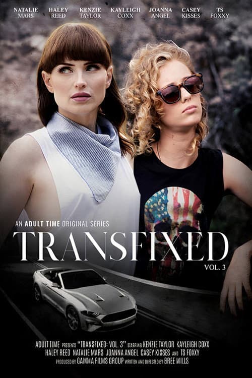 Transfixed 3 (2019) poster