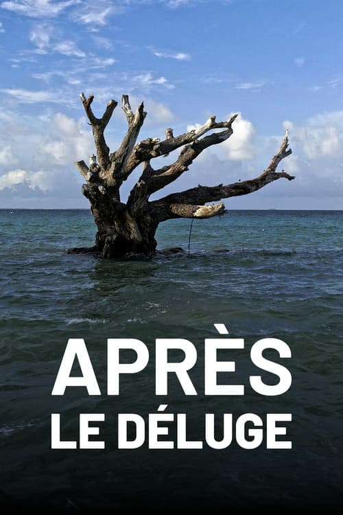 Après le déluge (2023) poster