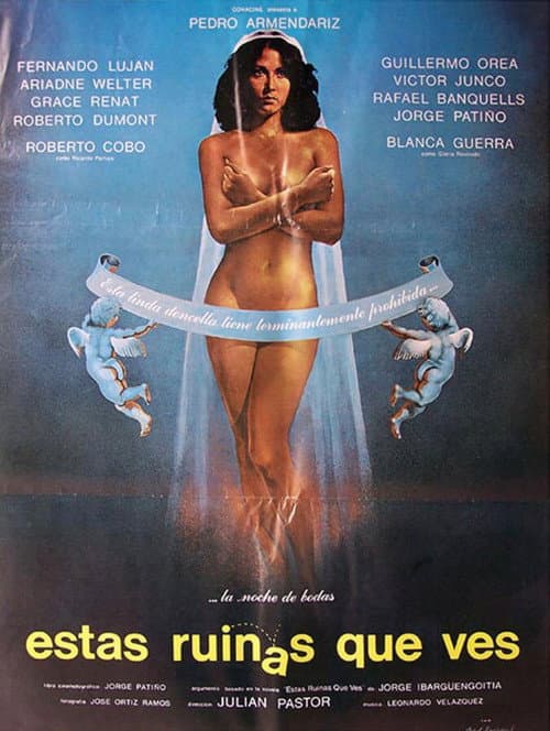 Estas ruinas que ves (1979) poster