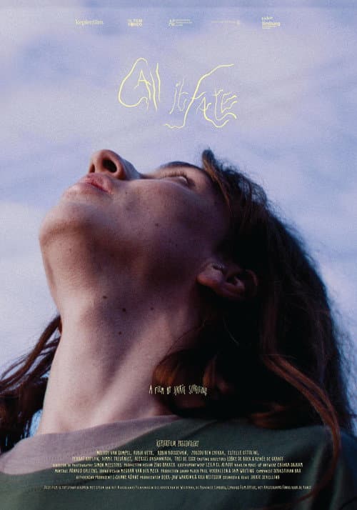 Call it Fate (2025) poster