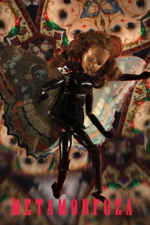 Metamorfoza (2013) poster