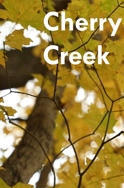 Cherry Creek (2025) poster