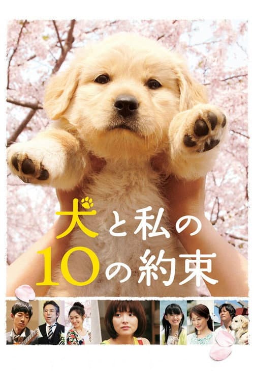 犬と私の10の約束 (2008) poster