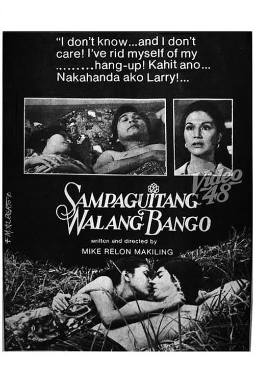 Sampaguitang Walang Halimuyak (1980) poster