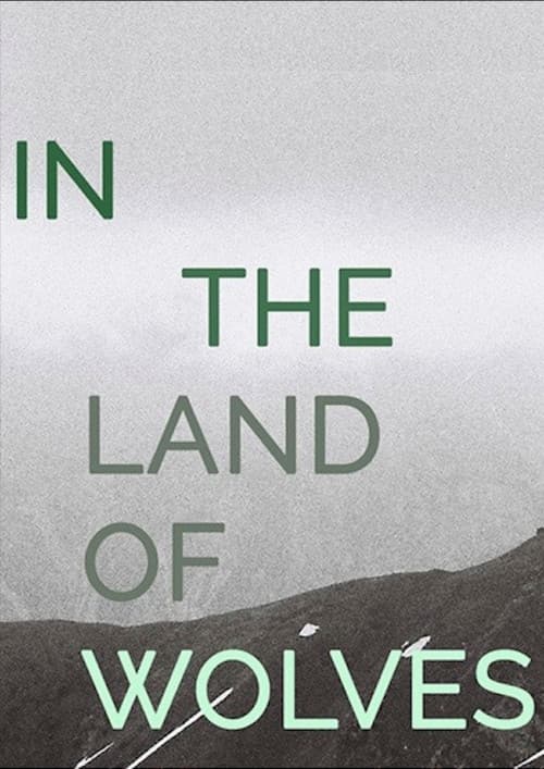 In the Land of Wolves (2018) poster