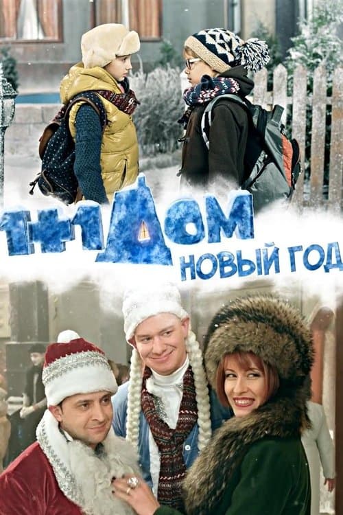 1+1 дома. Новый год (2013) poster