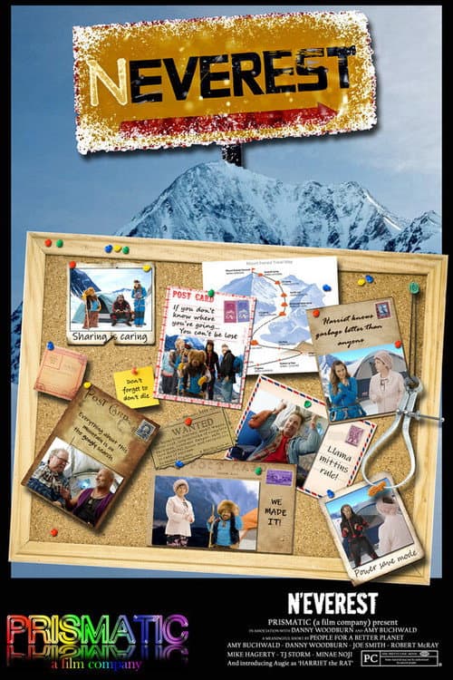 N’Everest (2020) poster