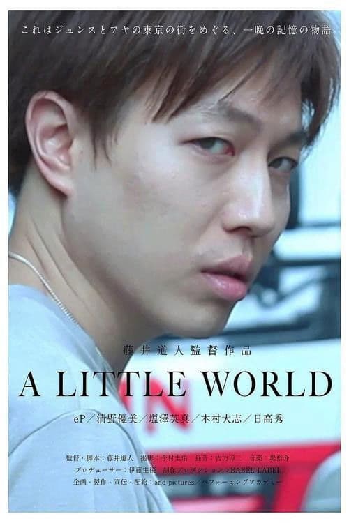 A LITTLE WORLD (2011) poster