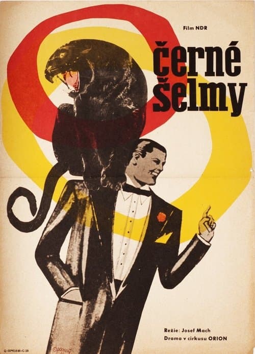 Schwarze Panther (1966) poster