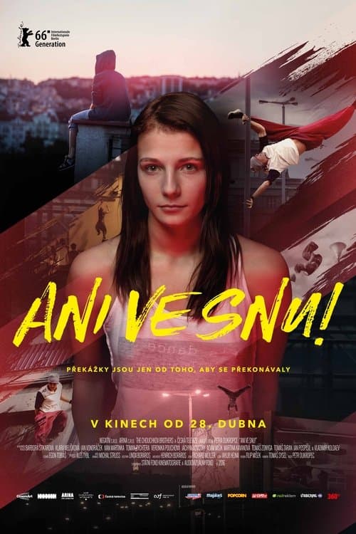 Ani ve snu! (2016) poster