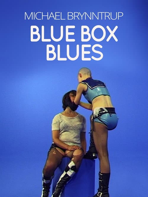 Blue Box Blues (Die Inszenierung Einer Fotografie) (2004) poster