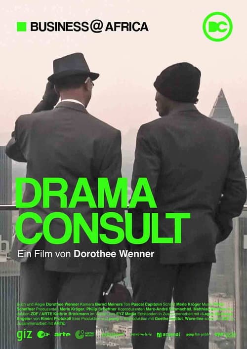 DramaConsult (2013) poster