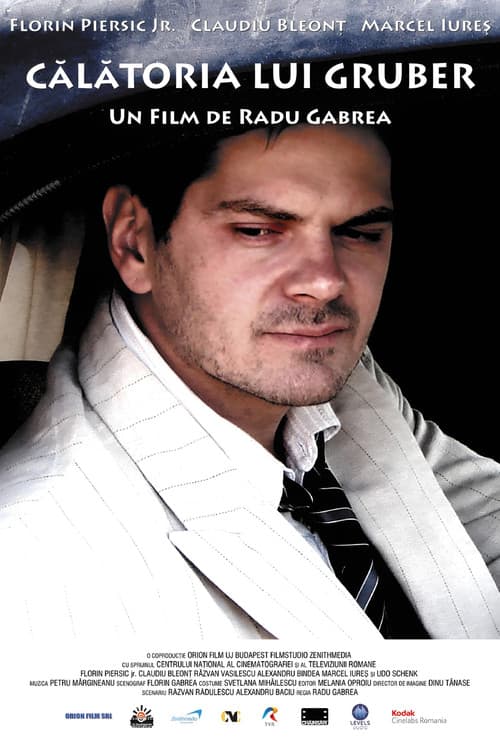 Călătoria lui Gruber (2009) poster