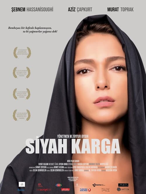 Siyah Karga (2016) poster