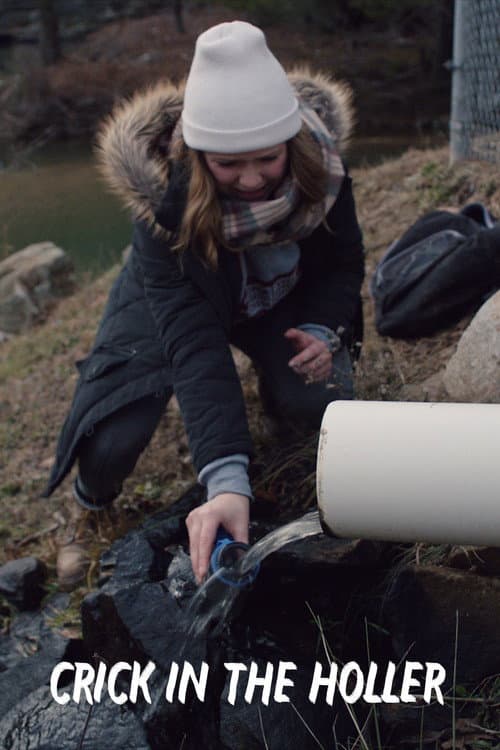 Crick in the Holler (2017) poster