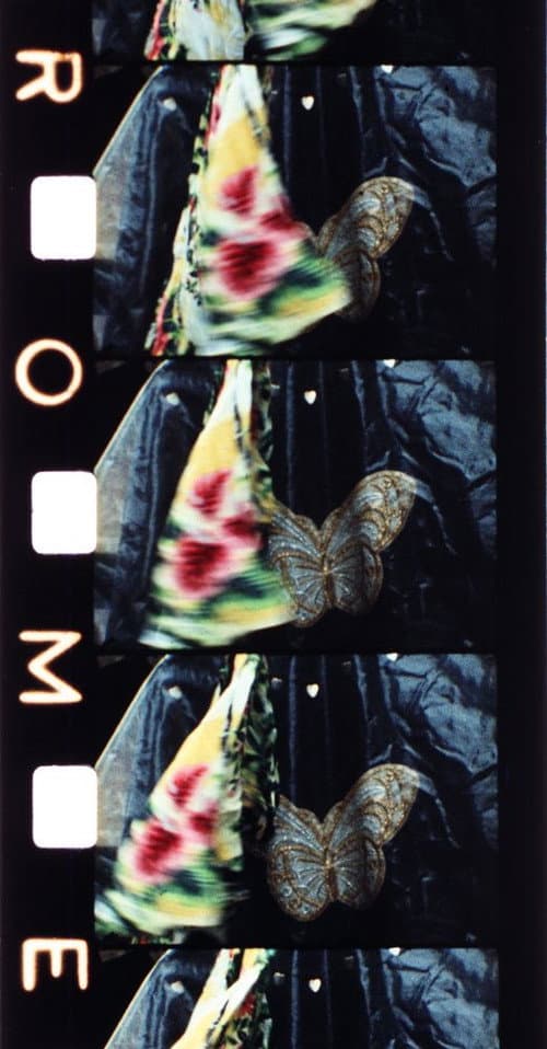 Malik (1977) poster