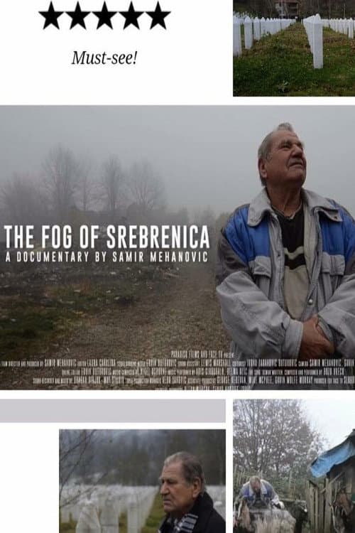 The Fog of Srebrenica (2015) poster