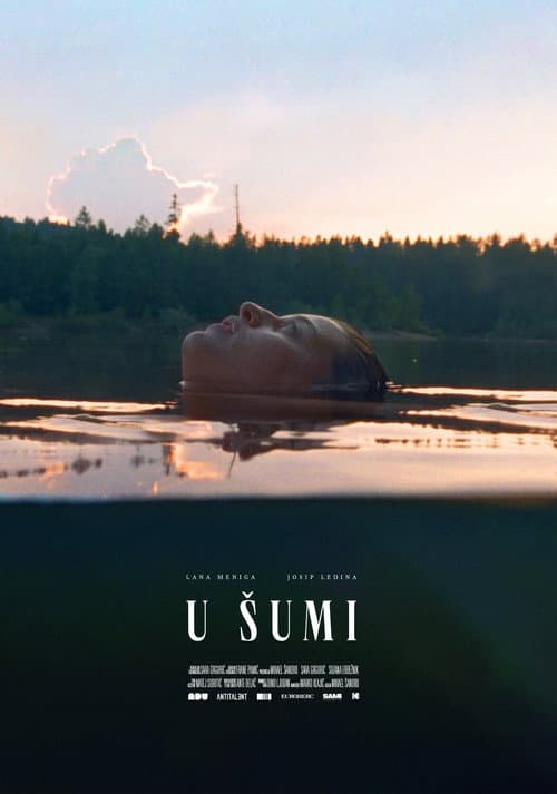 U šumi (2020) poster