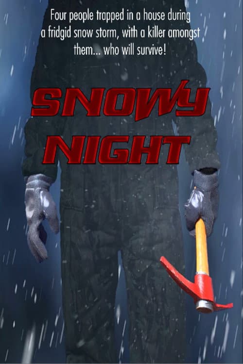 Snowy Night (2021) poster