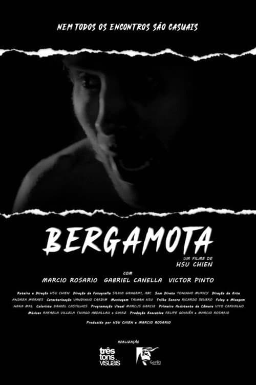 Bergamota (2023) poster