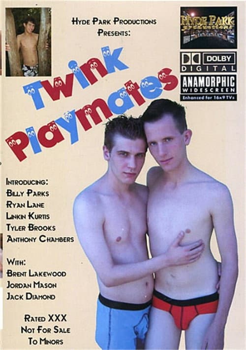 Twink Playmates (2006) poster