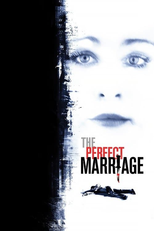 The Perfect Marriage (2006) poster