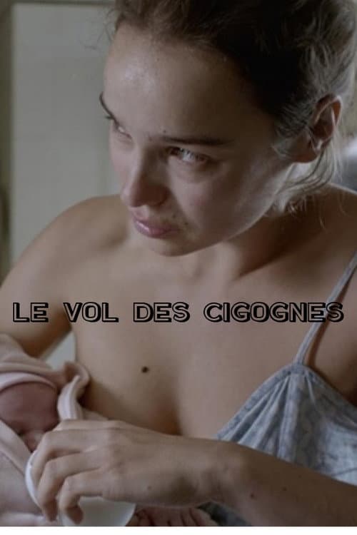 Le Vol des cigognes (2015) poster