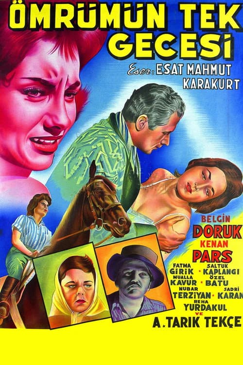 Ömrümün Tek Gecesi (1959) poster