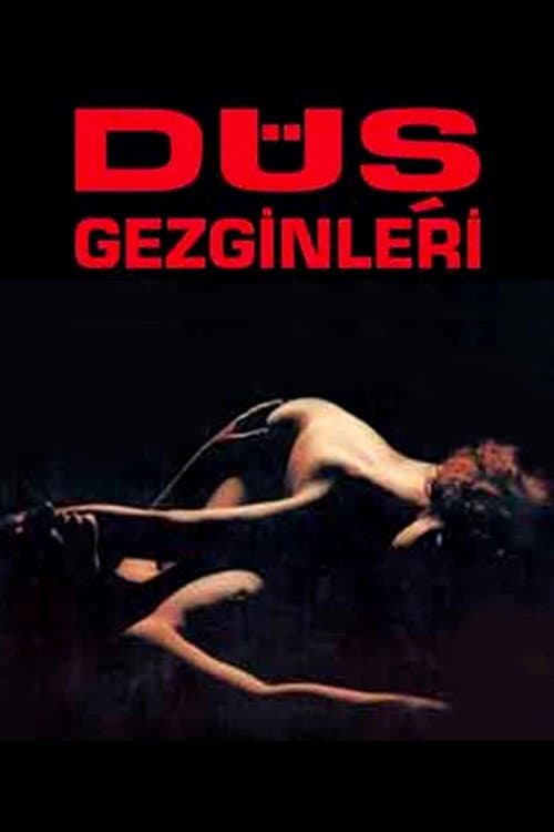 Düş Gezginleri (1992) poster