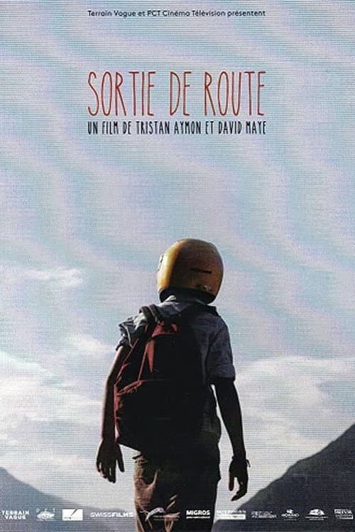 Sortie de route (2013) poster