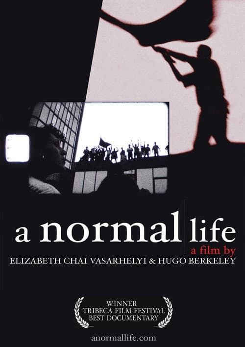 A Normal Life (2003) poster