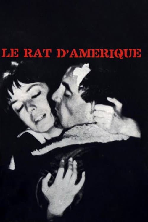 Le Rat d'Amérique (1963) poster