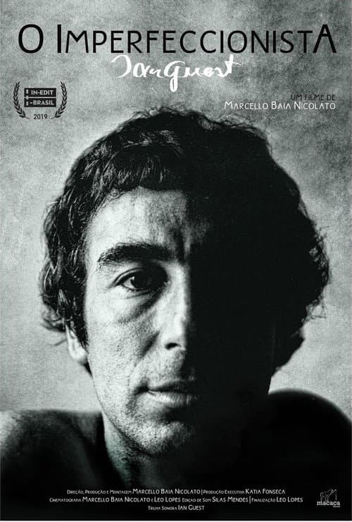 O Imperfeccionista (2019) poster