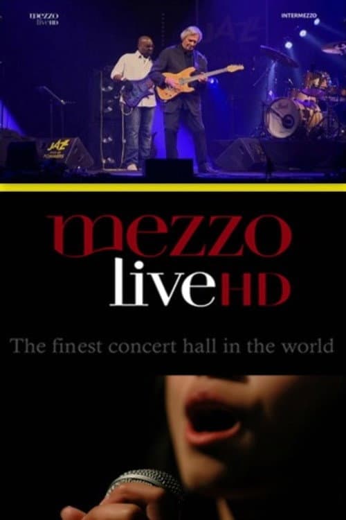 VA - Jazz Intermezzo Vol.2 (2013) poster