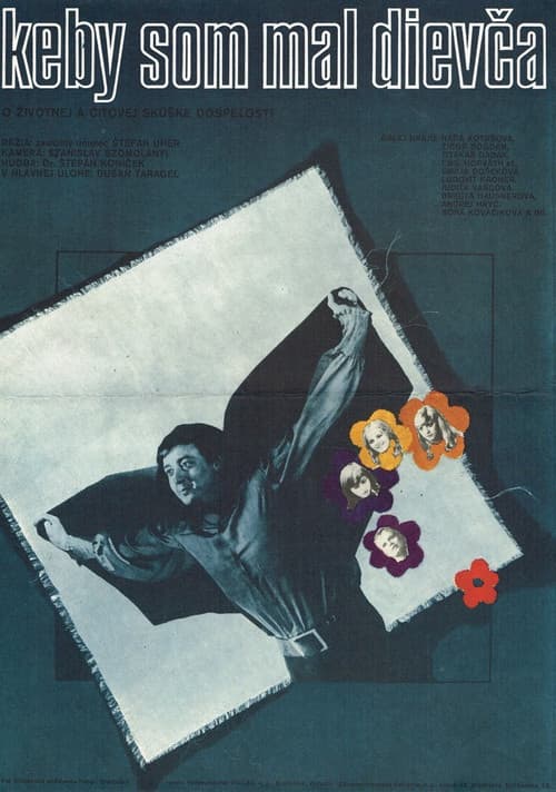 Keby som mal dievča (1976) poster
