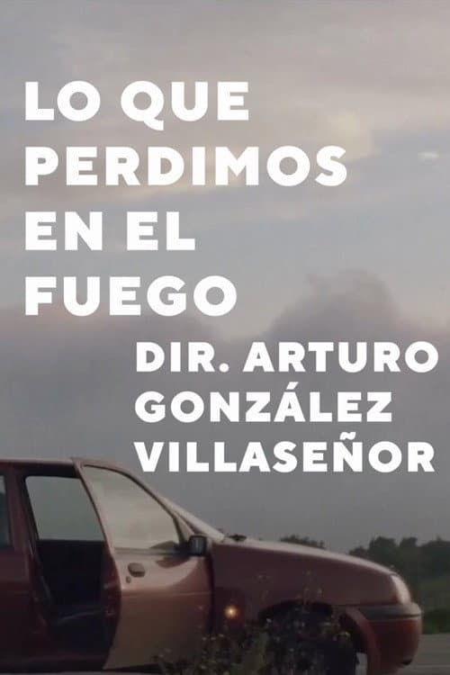 Lo que perdimos en el fuego (2024) poster