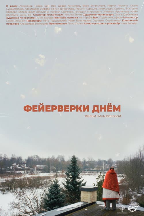 Фейерверки днём (2026) poster